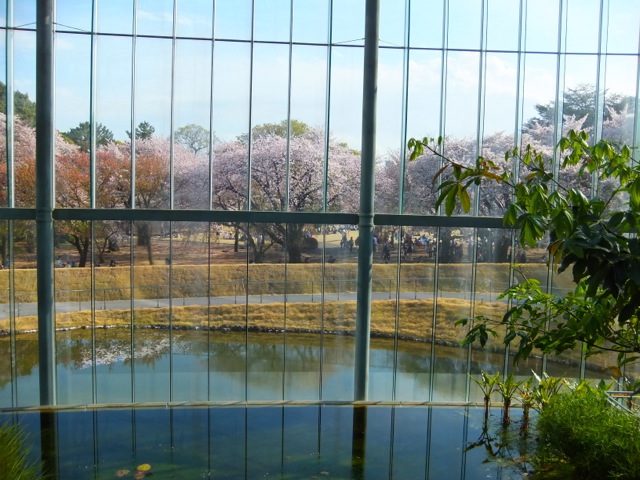 散歩_c0201876_084236.jpg