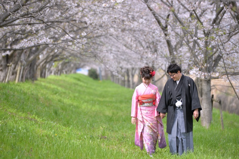 前撮り和装で桜ロケーション・桜と河川と電車と振袖14.4.7_c0324376_19563355.jpg