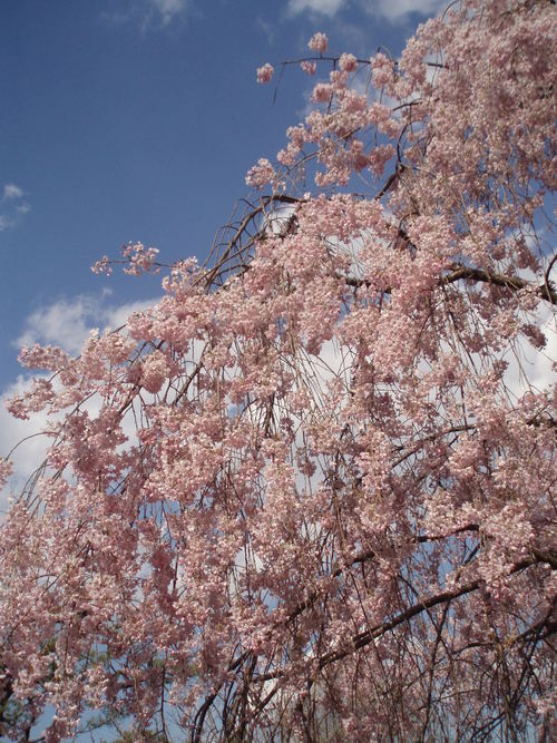 c0240877_0243719.jpg