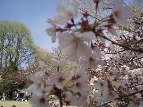 c0240877_0265943.jpg