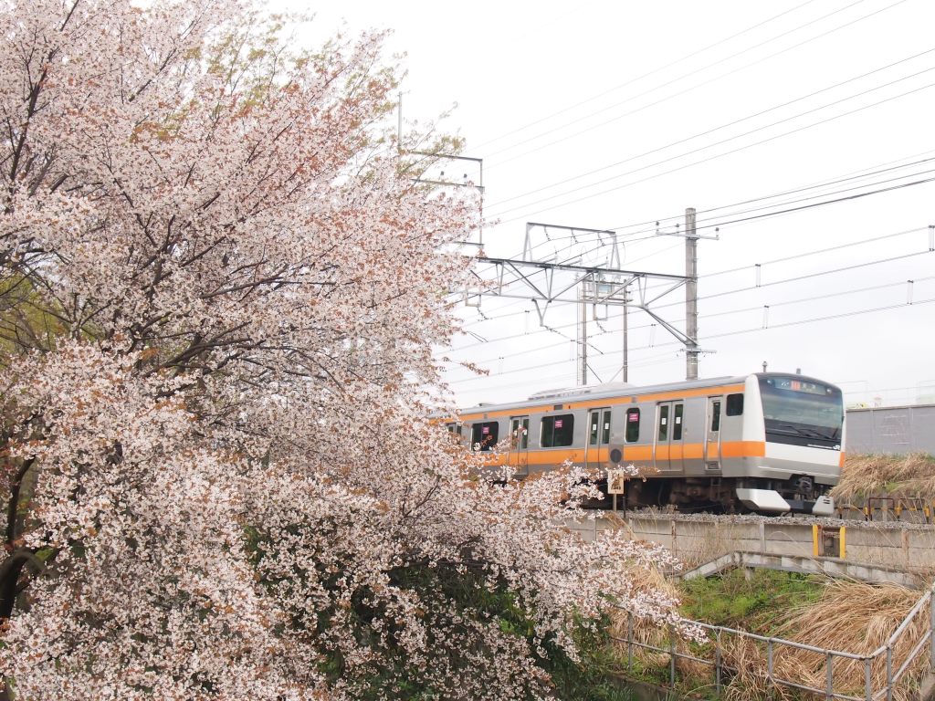 カラフルな春の中央線と583系――中央本線[豊田‐八王子]_b0291581_18491400.jpg