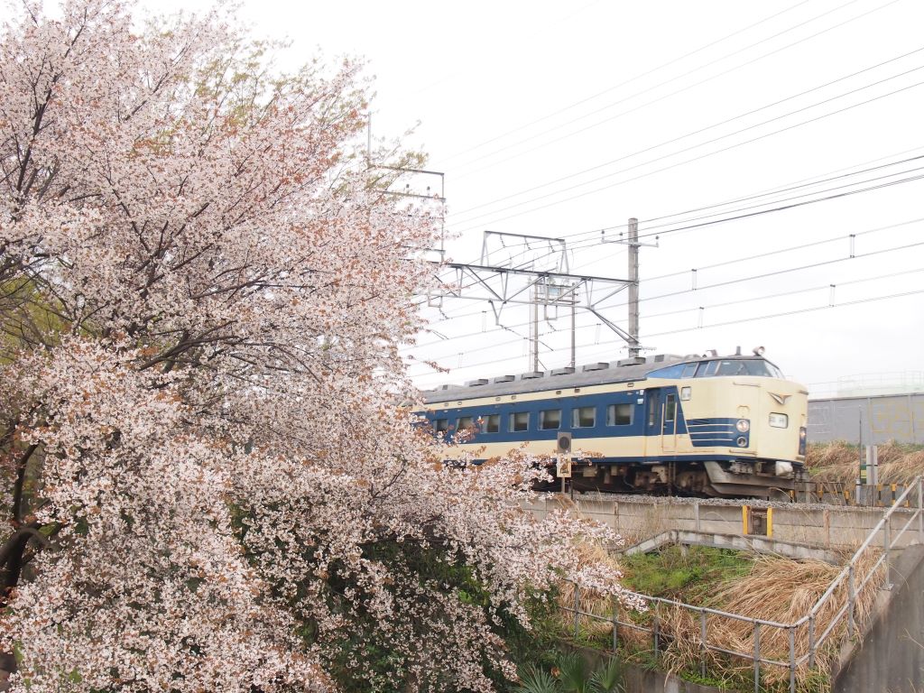 カラフルな春の中央線と583系――中央本線[豊田‐八王子]_b0291581_18491528.jpg