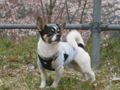 f0248782_11324816.jpg