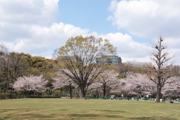 b0207284_602383.jpg