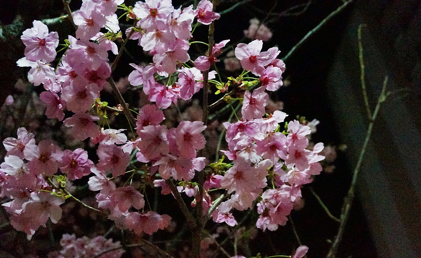 c0025895_031226.jpg