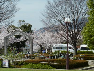 神戸の桜2014　水の科学博物館　その２_b0051598_22381330.jpg