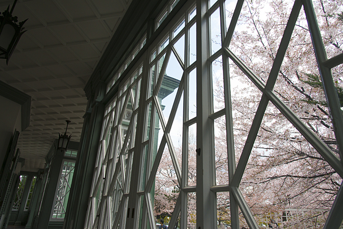 c0183700_23144656.jpg
