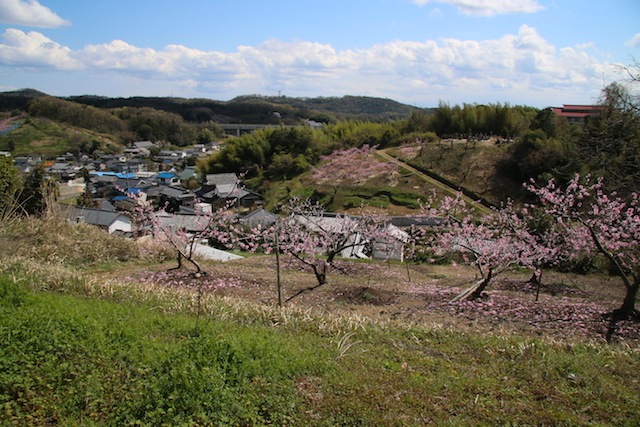 c0306400_23562474.jpg