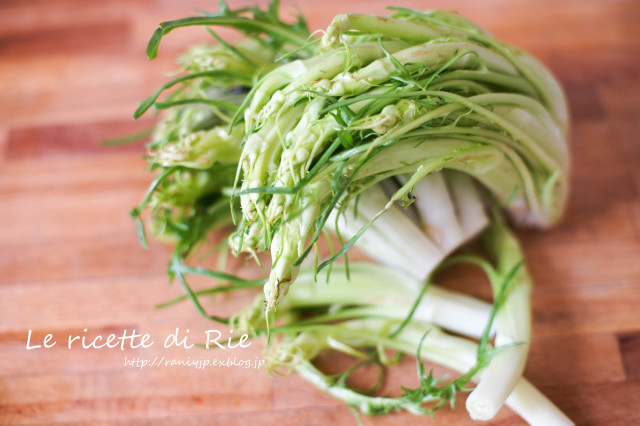 イタリア野菜プンタレッレのサラダ☆ Insalata di puntarelle_b0246303_20512192.jpg