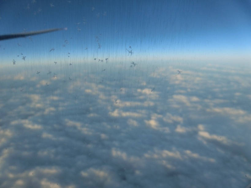 c0193304_1321837.jpg