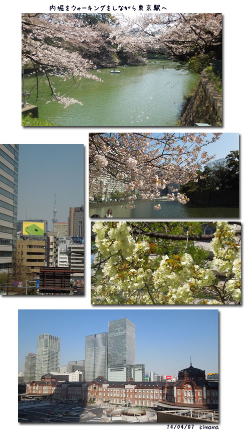 人・人・・・皇居の桜_c0051105_152124.jpg