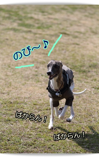 e0100007_2273038.jpg