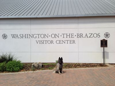 f0227709_8154138.jpg