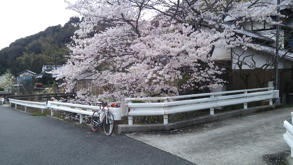 f0219810_935234.jpg