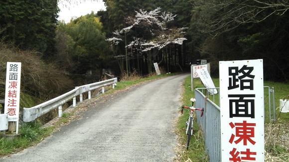 f0219810_97177.jpg