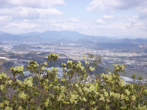 花の明王山 (380M)  猿啄城　縦走する_d0170615_1139572.jpg