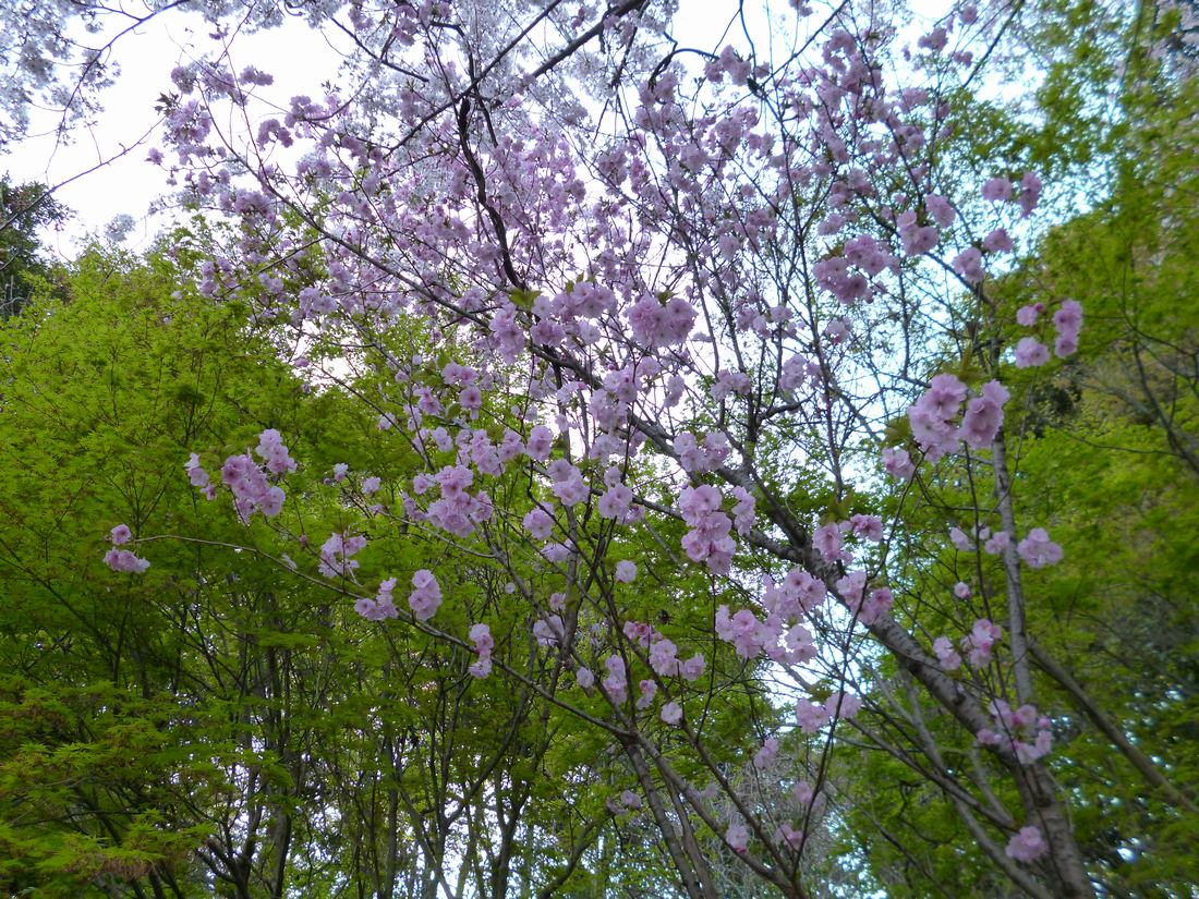 c0280416_22472512.jpg
