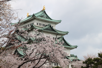 名古屋城の桜_f0090719_8453032.jpg