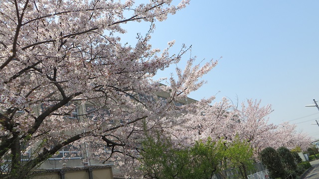 c0280322_16530975.jpg
