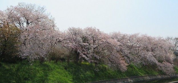 c0280322_16572311.jpg