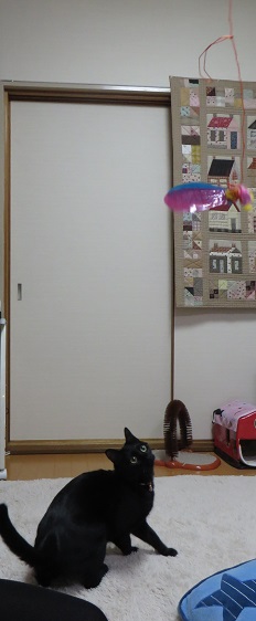 c0280322_17031181.jpg