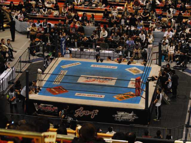 新日本プロレス「INVASION ATTACK 2014」@両国国技館_b0000829_1532189.jpg