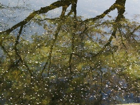 c0077531_23505522.jpg