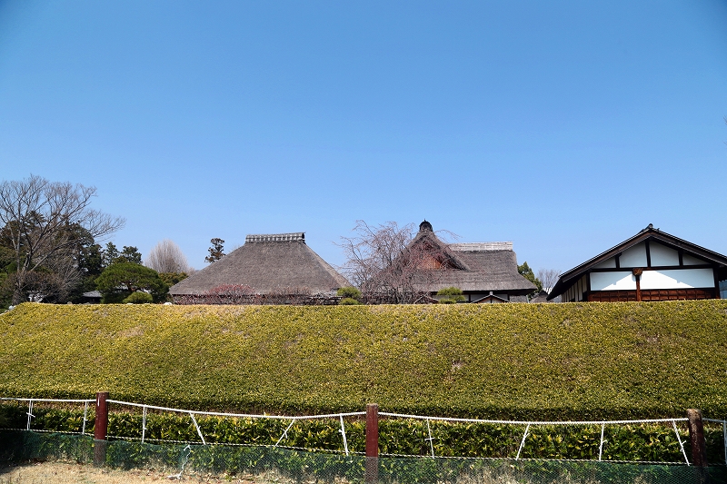 f0229832_14483615.jpg