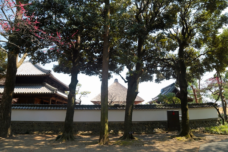 f0229832_1515832.jpg