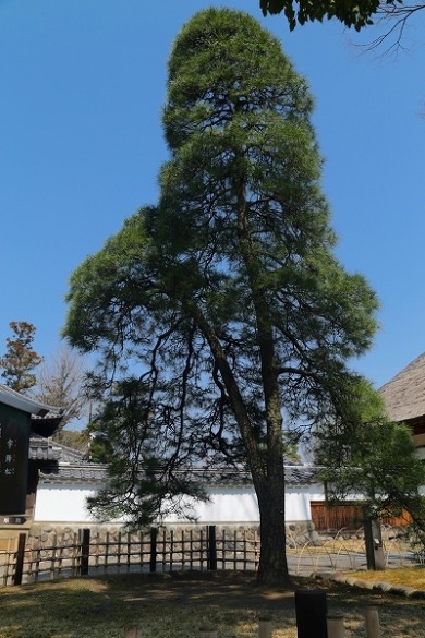f0229832_1534247.jpg