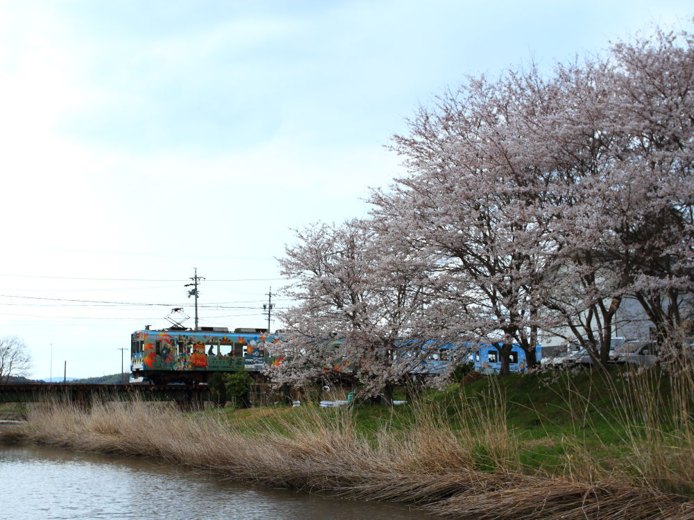 d0226336_0291796.jpg