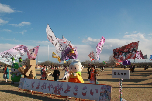 風と桜とよさこいと、第6回くまがや桜よさこい_a0014141_01320862.jpg