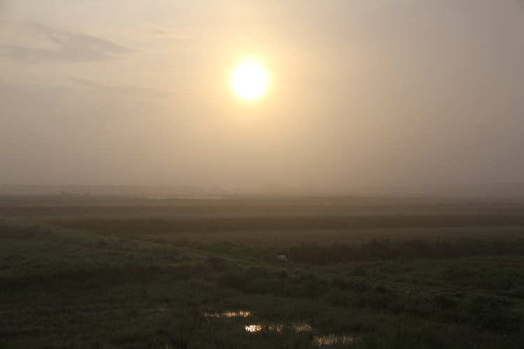 f0281446_07005240.jpg