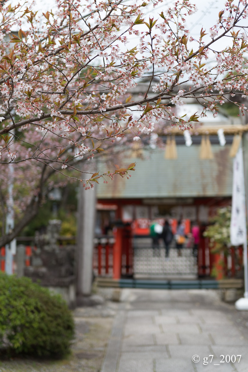 2014 桜 〜車折神社〜_f0152550_23183854.jpg