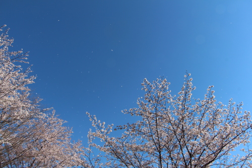 f0245650_08145665.jpg