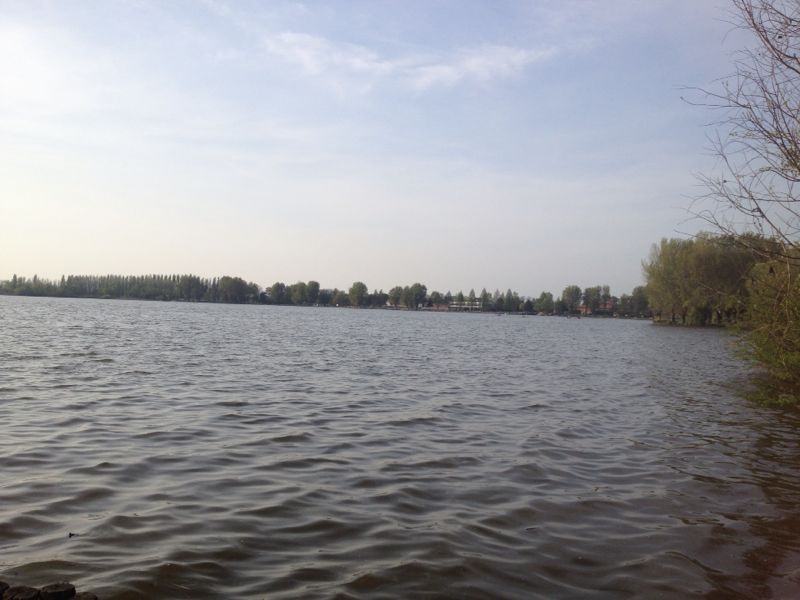 e0106251_8111137.jpg