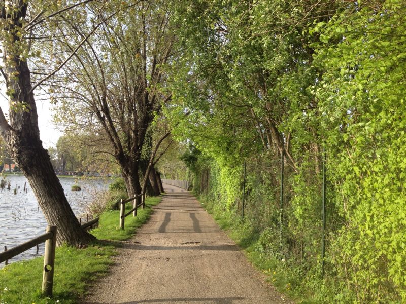 e0106251_8111837.jpg
