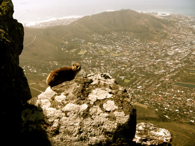 c0094654_144341.jpg