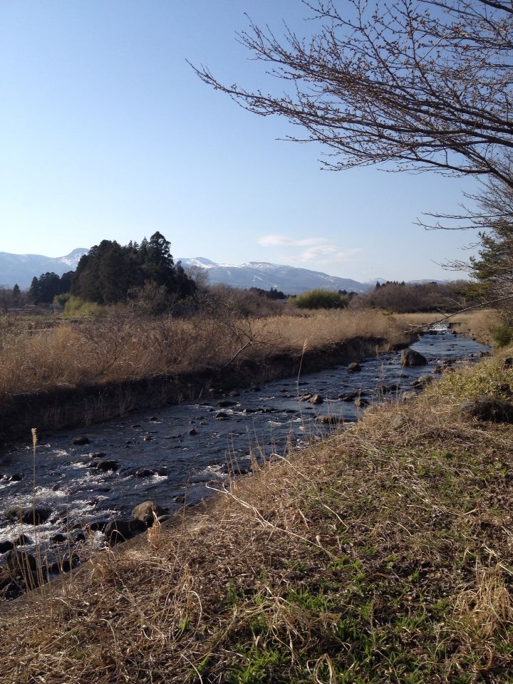b0008655_705687.jpg