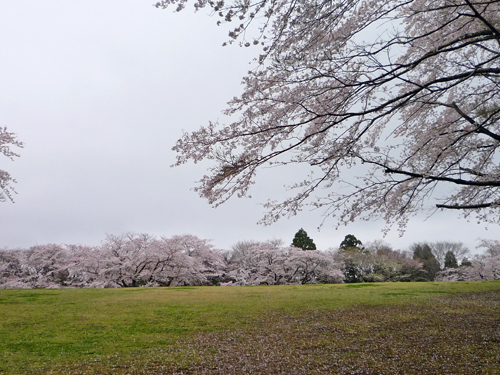 b0045357_941569.jpg