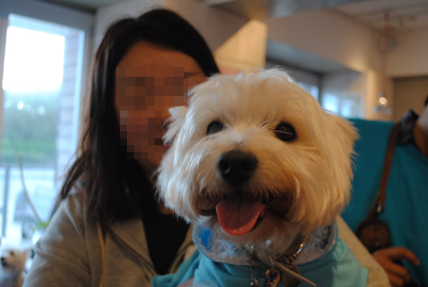 b0242873_14221666.png