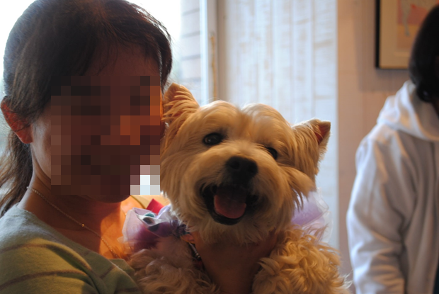b0242873_14282906.png