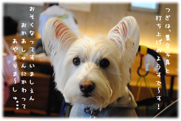 b0242873_14430628.png