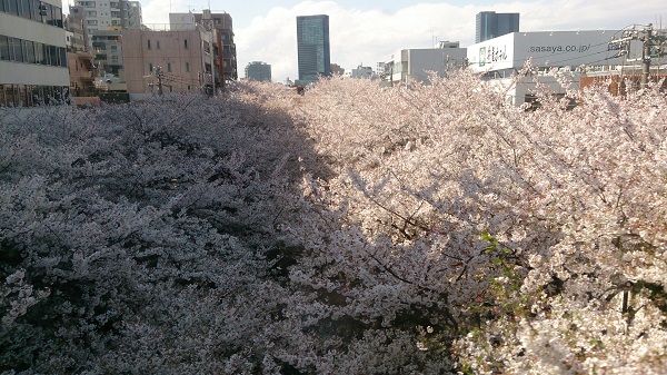 e0212073_1048231.jpg