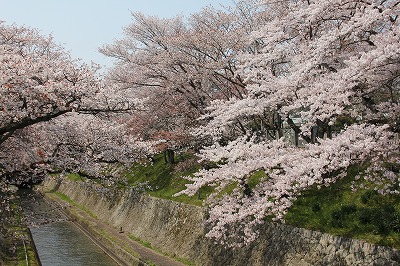 f0259373_17303410.jpg