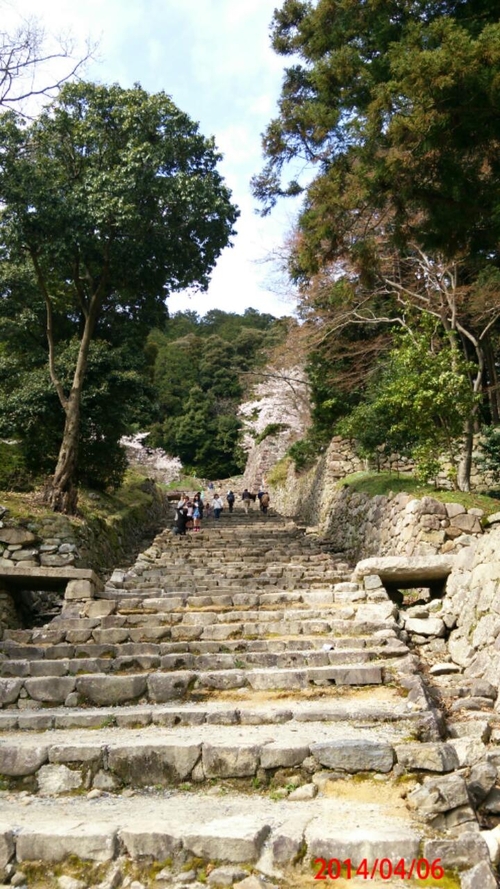 f0104377_16164259.jpg