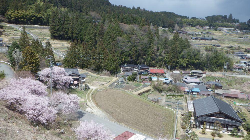 f0124378_1958566.jpg