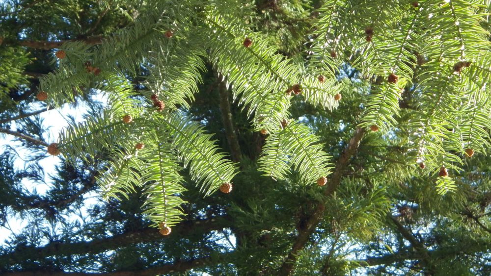 f0124378_2001347.jpg