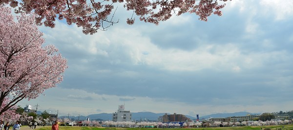 c0229483_858834.jpg