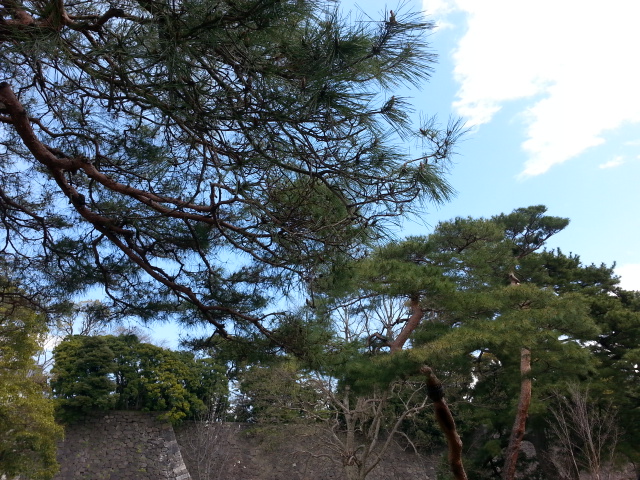c0096685_19562823.jpg